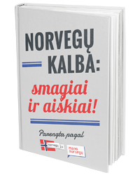 norvegu kalbos kursai knyga